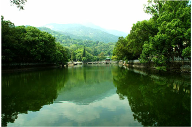 蓬萊村(廣東省湛江市霞山區蓬萊村)