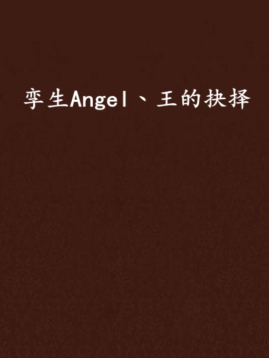 孿生Angel丶王的抉擇