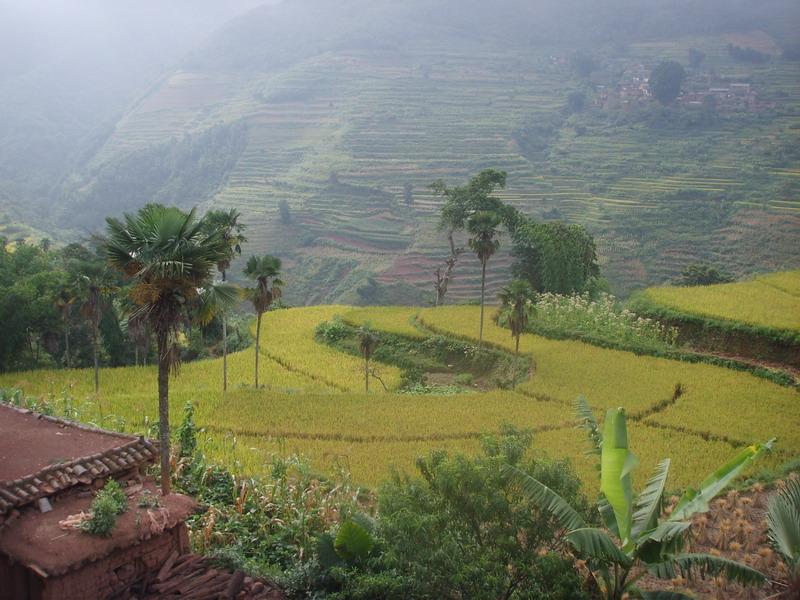 種植業