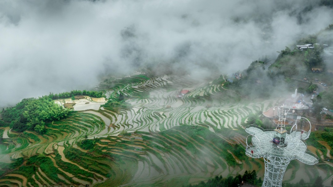 雲和梯田景區