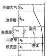 植物水分生理