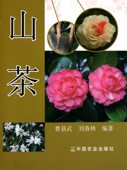 山茶（彩圖版養花說明書）