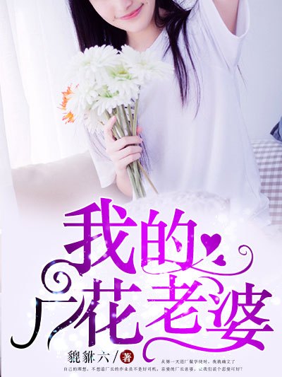 我的廠花老婆(貔貅六創作的網路小說)