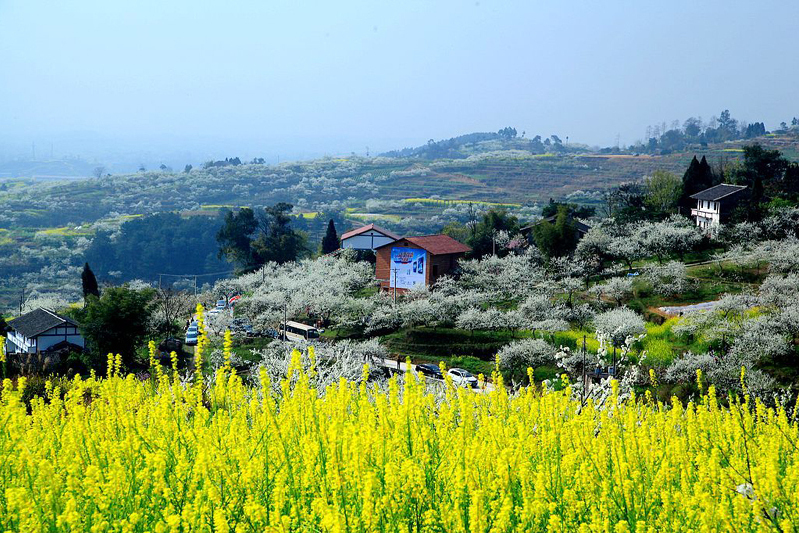 連鶴觀村