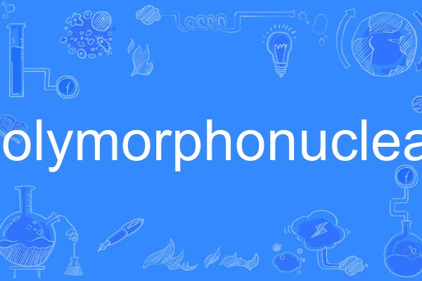 polymorphonuclear