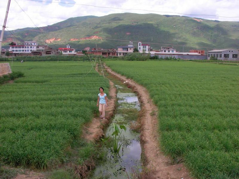 下仁和村