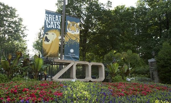 史密森尼國家動物園