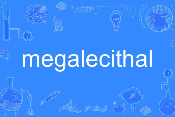 megalecithal