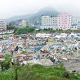 社頭村(漳州台商投資區角美鎮下轄村)