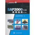 SAP2000中文版使用指南（第二版）