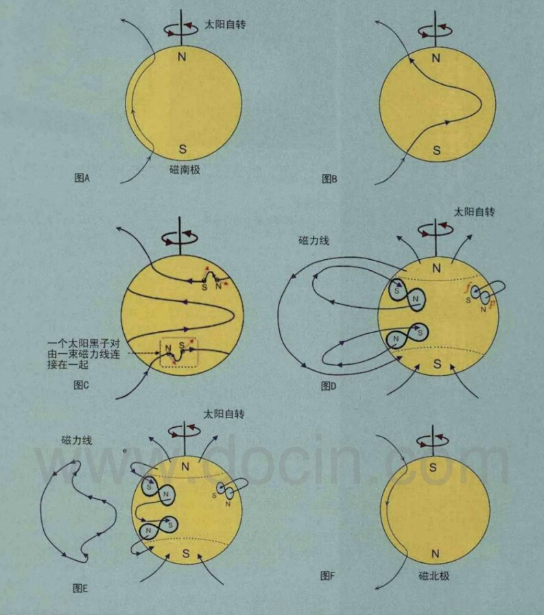 巴布科克模型示意圖