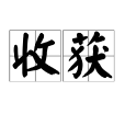 收穫(漢語詞語)