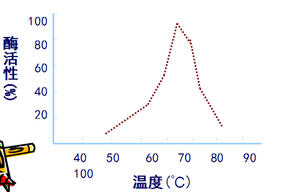 Taq酶在不同溫度下的活性