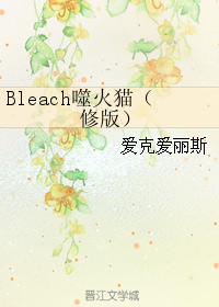 Bleach噬火貓（修版）