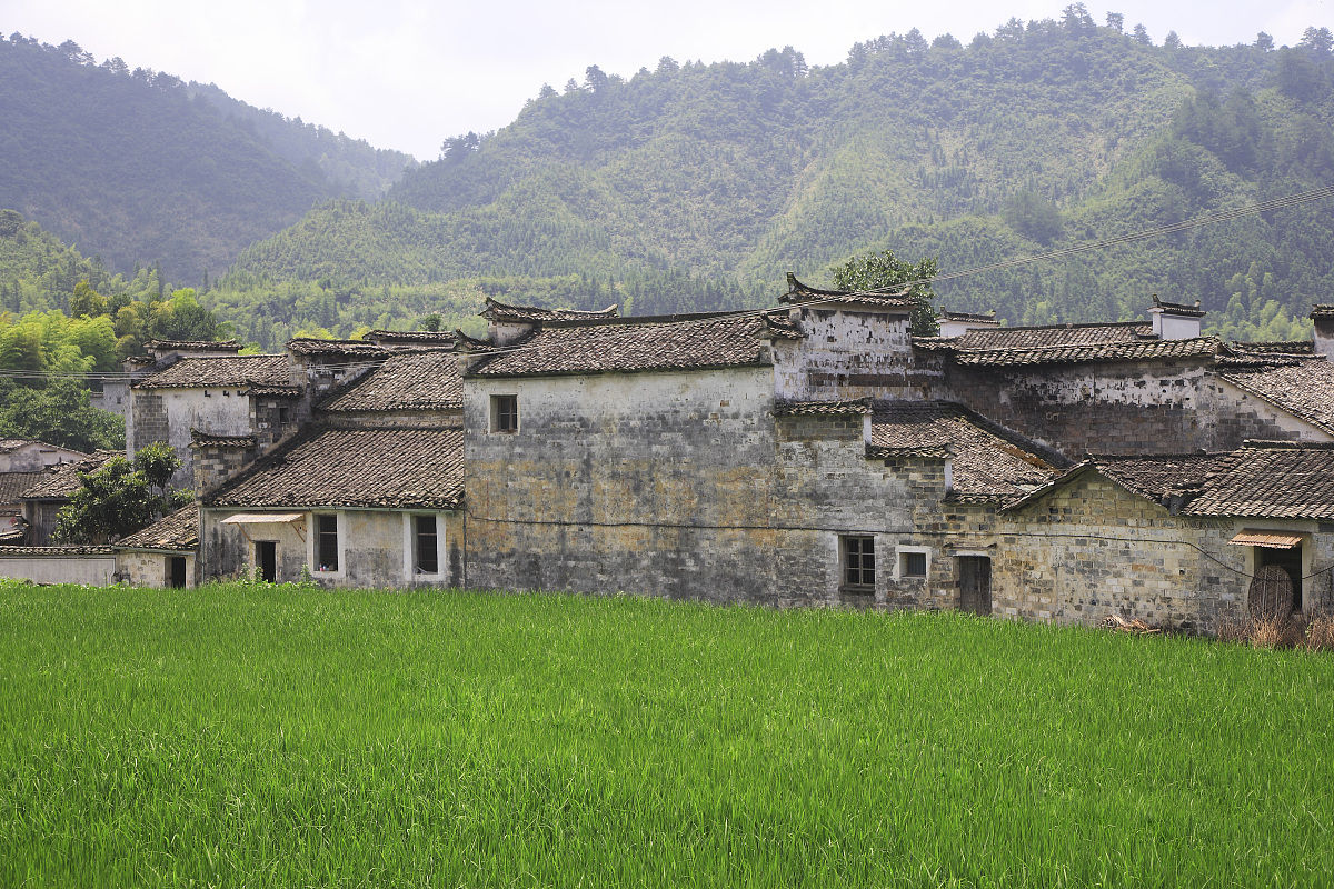 龍樹村(雲南省宣威市東山鎮龍樹村)