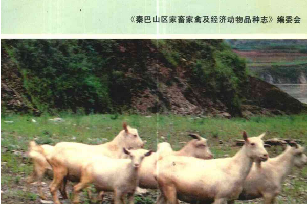 秦巴山區家畜家禽及經濟動物品種志