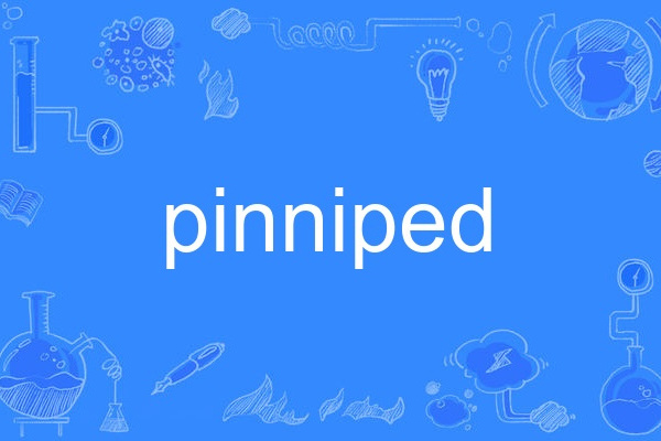 pinniped