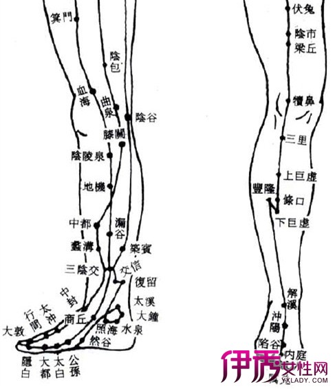 膝眼穴