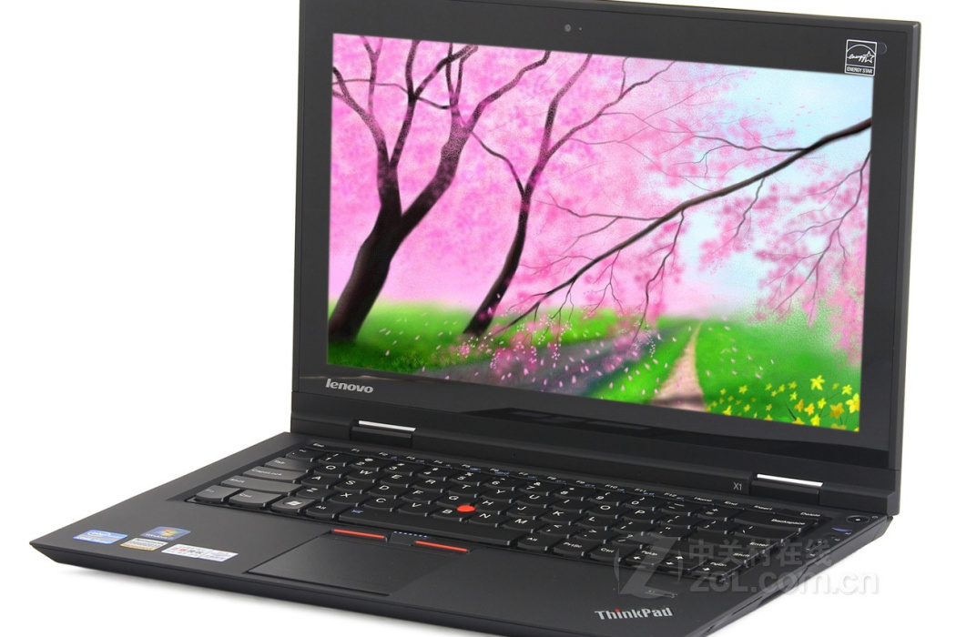 ThinkPad X1(1293A21)