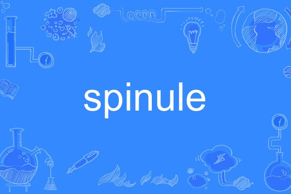 spinule