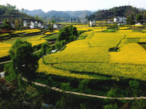 解放村(雲南省香格里拉市建塘鎮解放村)