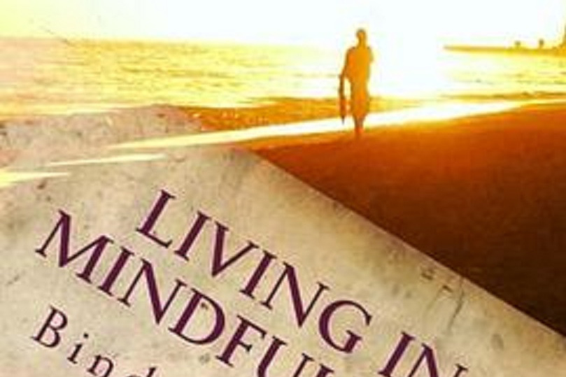 Living in Mindfulness: 351 Mindful Steps for Wise Living