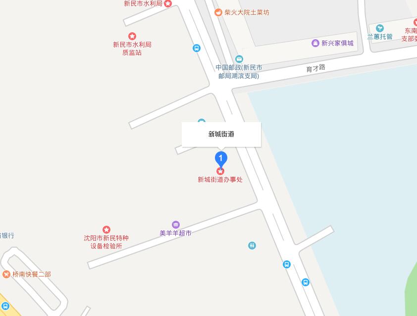 新城街道(遼寧省新民市新城街道)