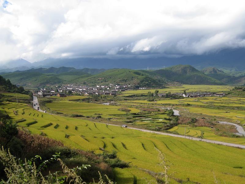 金坪村(江西大余縣河洞鄉下轄村)