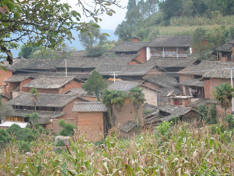 白草坪二組村