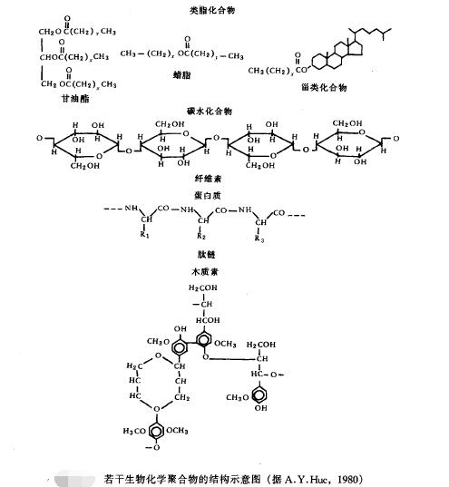 油氣成因