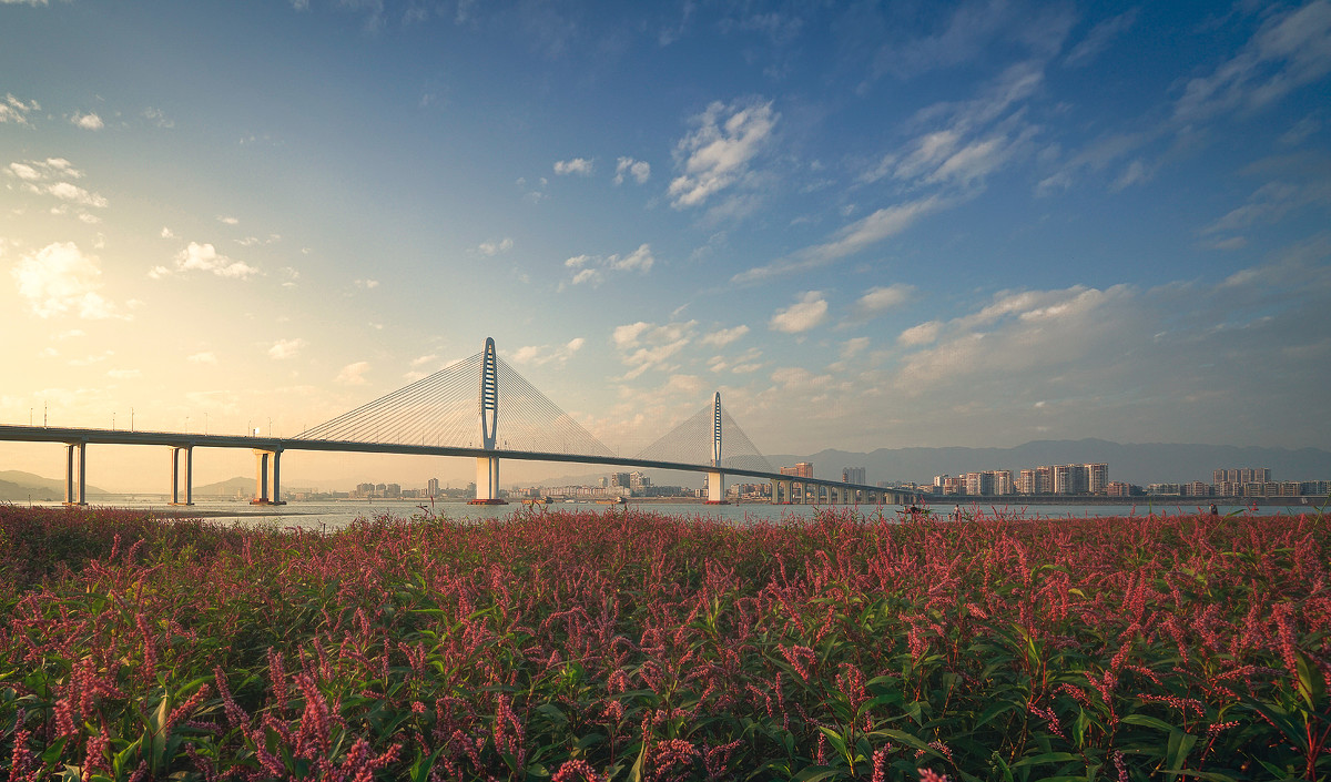 閱江大橋遠景圖