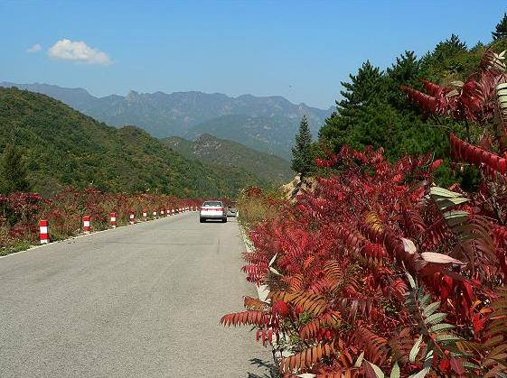 延慶區(北京延慶)