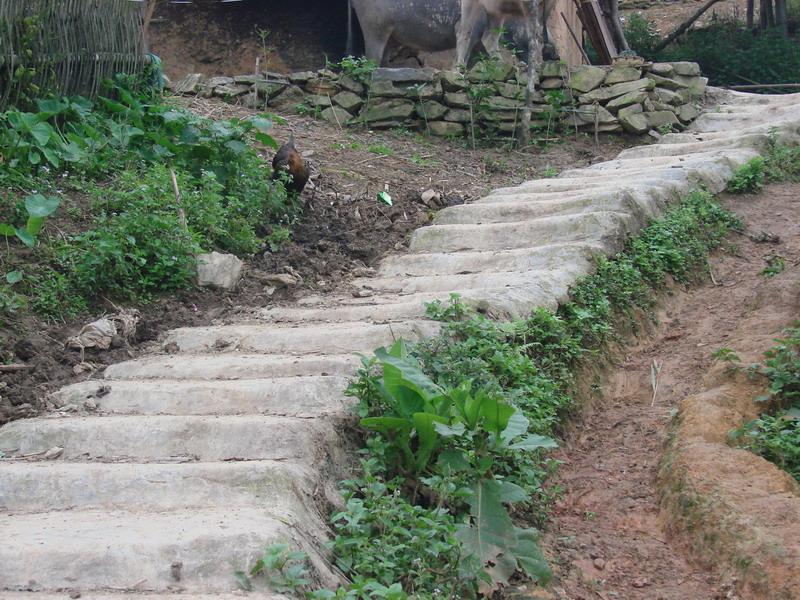 卡里碑自然村通路情況