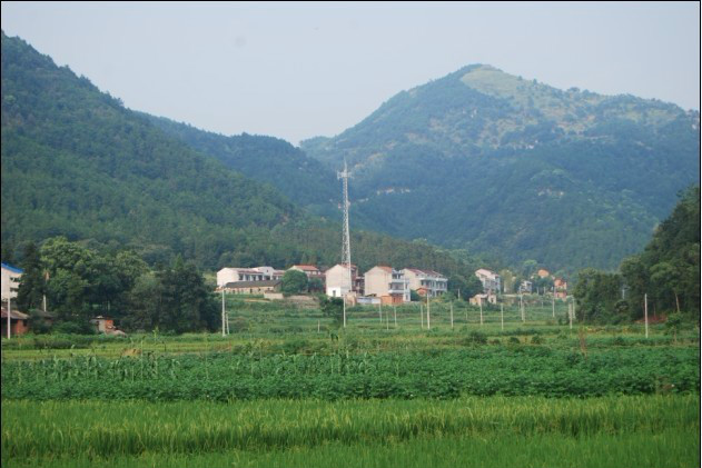 東沖村(湖北黃梅縣停前鎮下轄村)