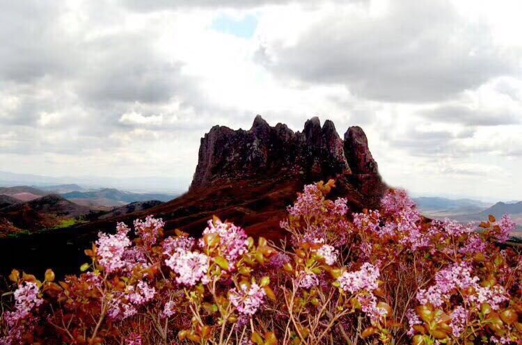 蓮花山村