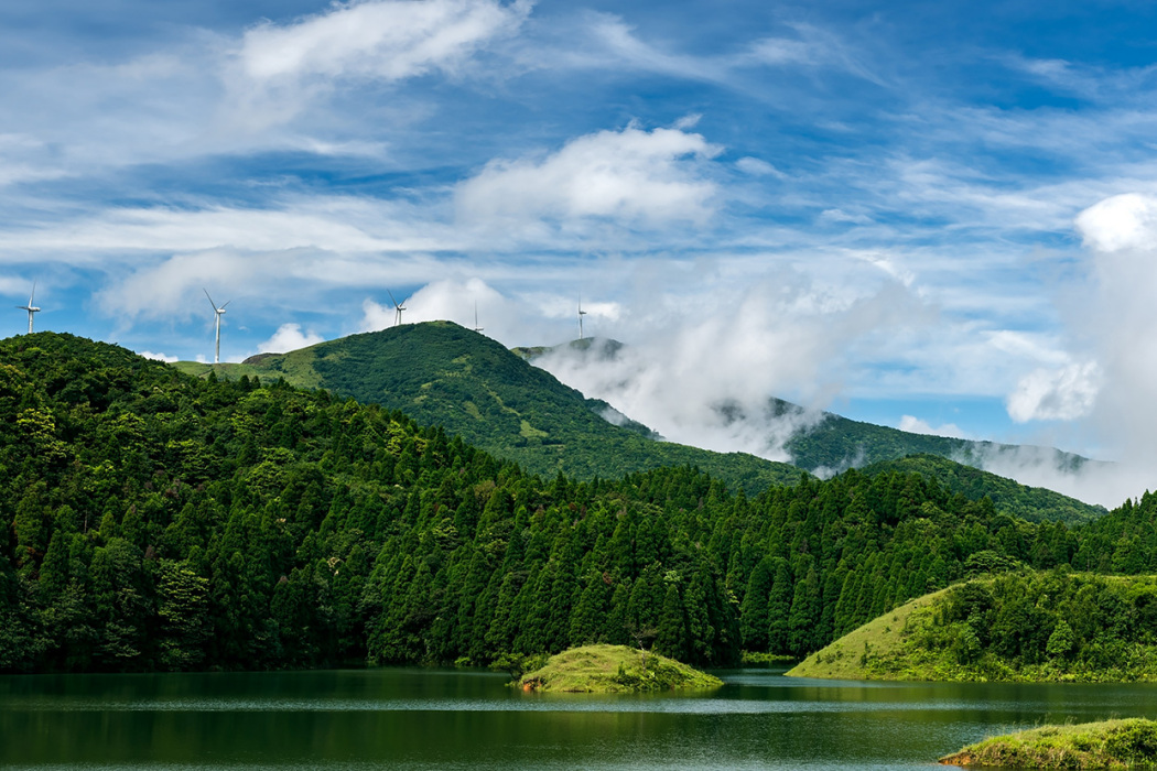 大容山林場