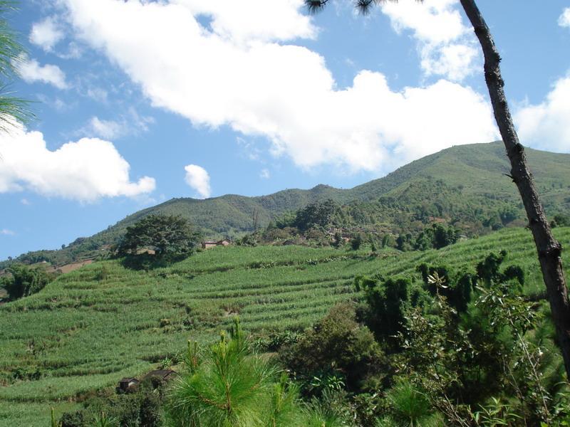 苗子山自然村