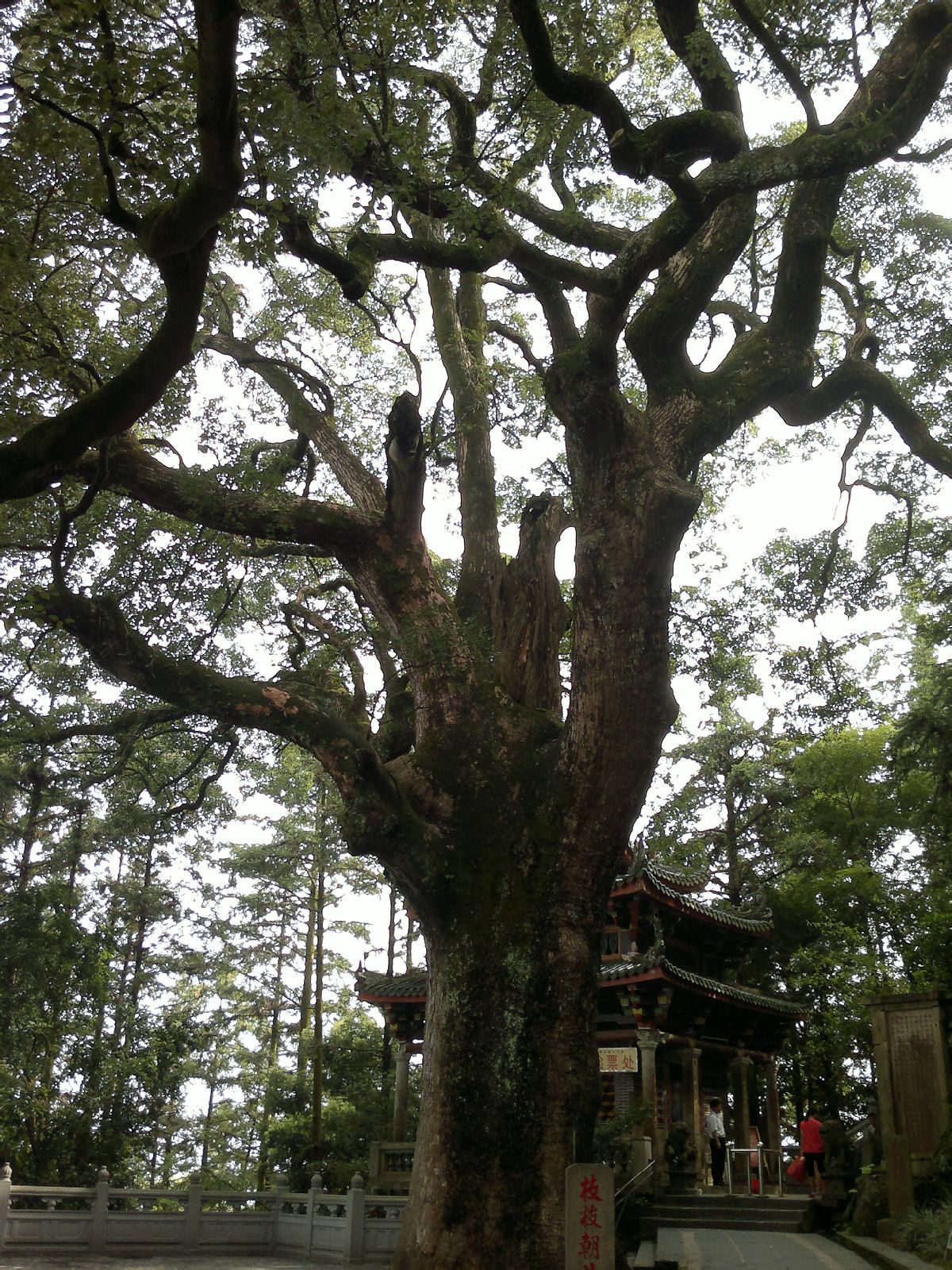 清水岩(福建省泉州市安溪縣十八景點之一)