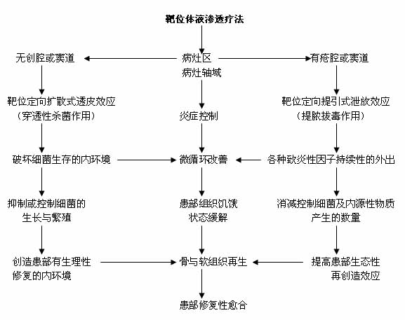 靶位體液滲透療法