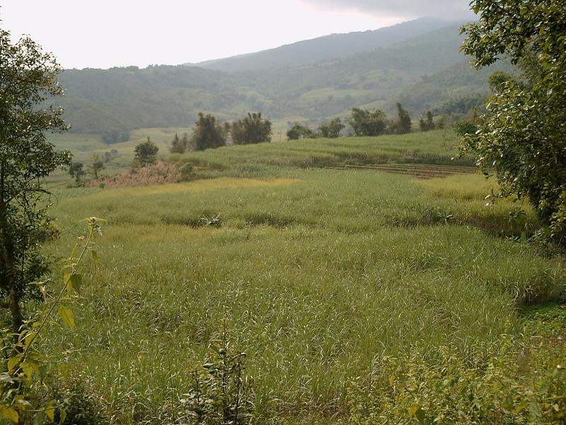 小平掌自然村(雲南省耿馬縣耿馬鎮下轄村)