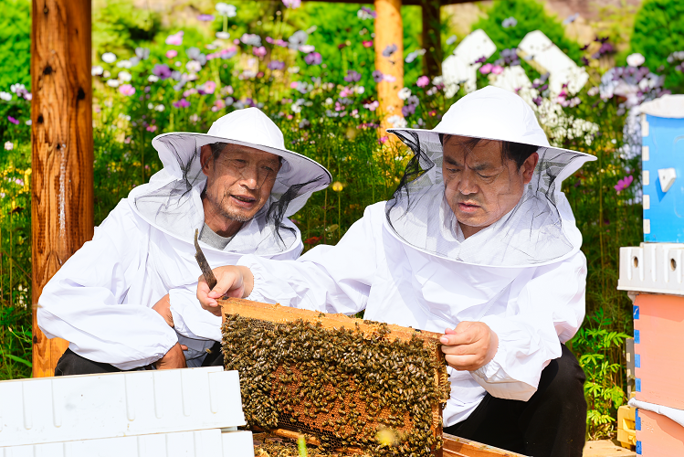 山西聖康生物科技股份有限公司