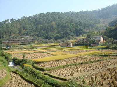 上南峰自然村