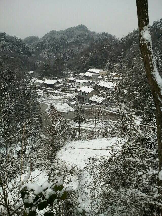 夯金寨雪景