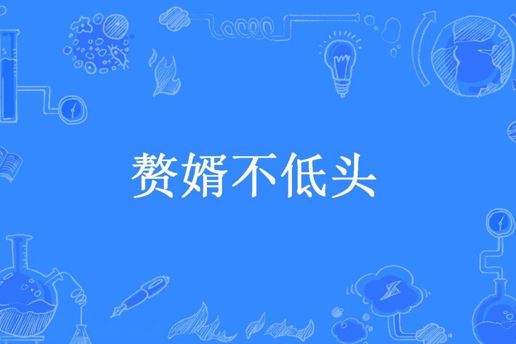 贅婿不低頭(二哥所著小說)