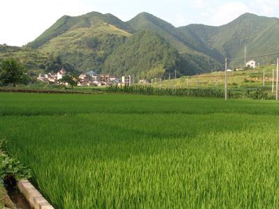 舜山村