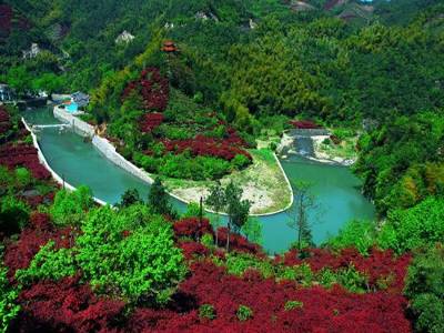 浙江大竹海國家森林公園