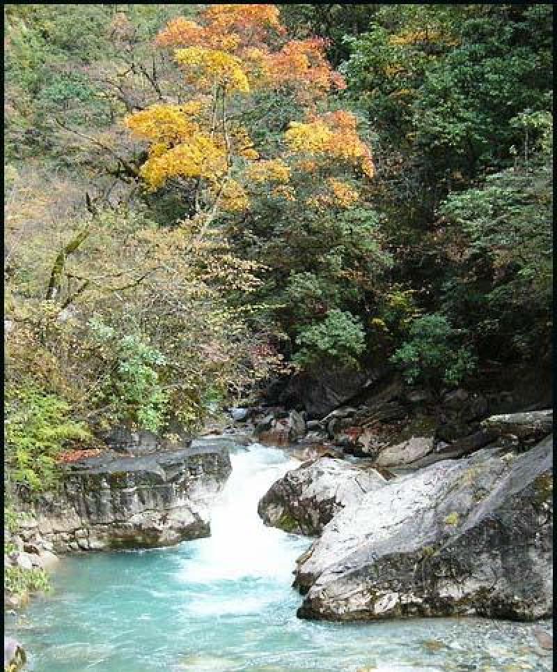 台黎山