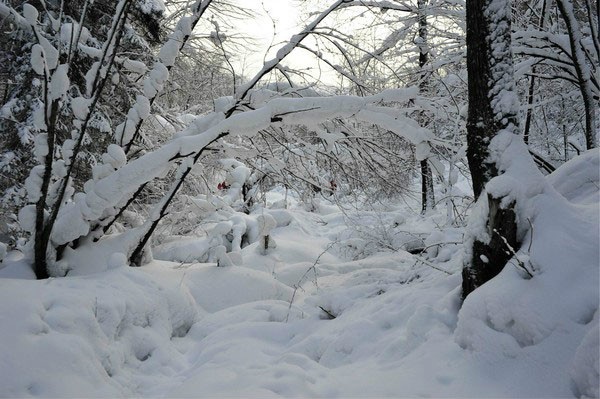 黑龍江雪鄉