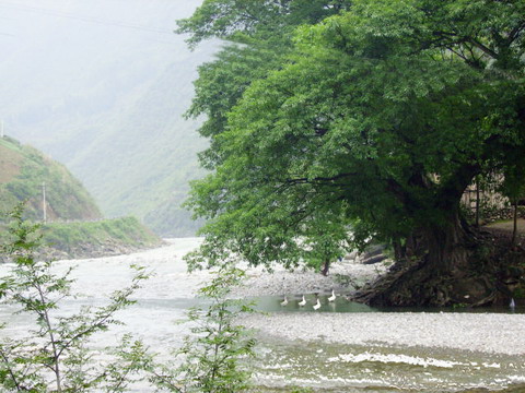 羊磴河