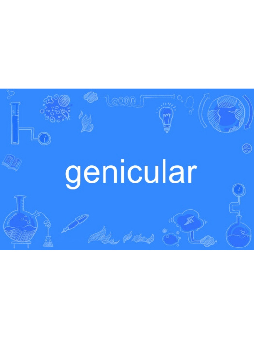 genicular